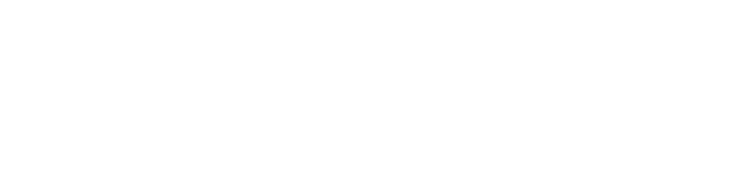 Flappy logo
